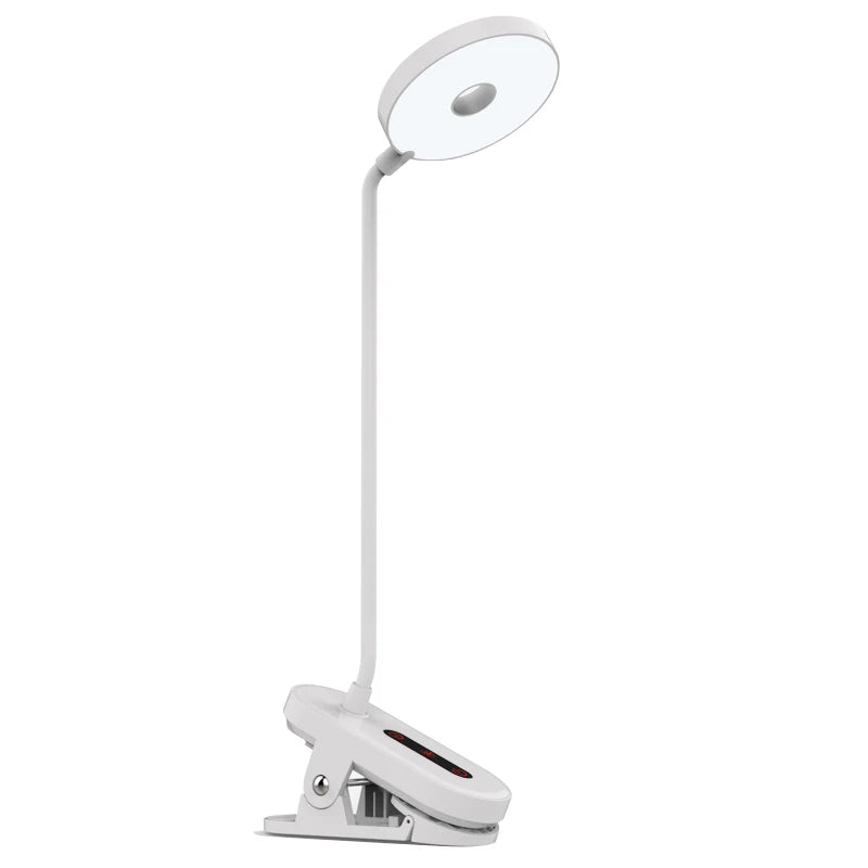 LED Portable Desk Lamp