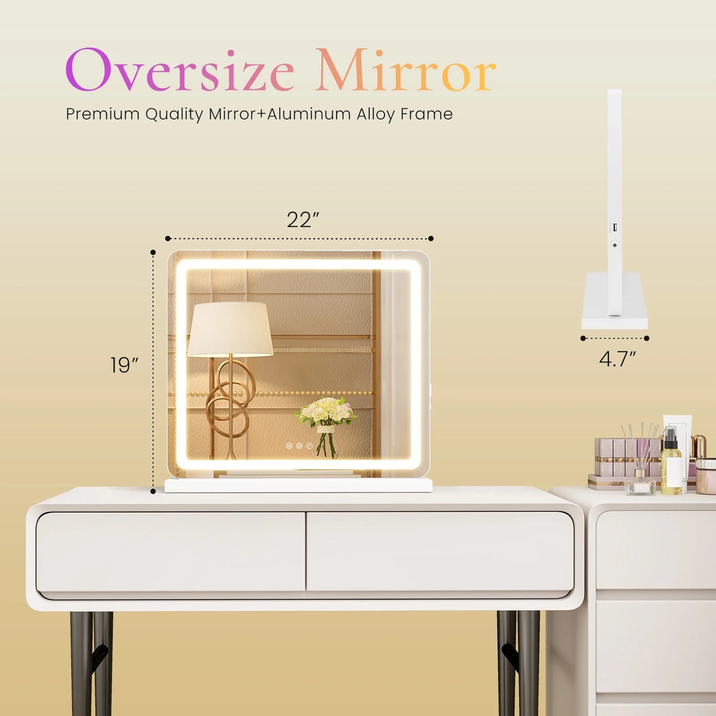 Vanity Mirror with Dimmable LED Lights
