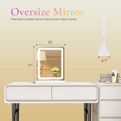 Vanity Mirror with Dimmable LED Lights