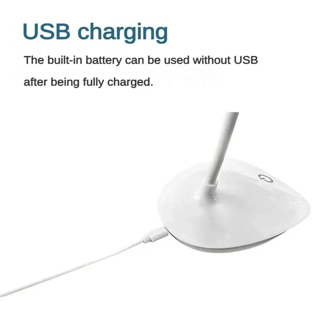 LED Portable Desk Lamp