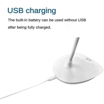 LED Portable Desk Lamp