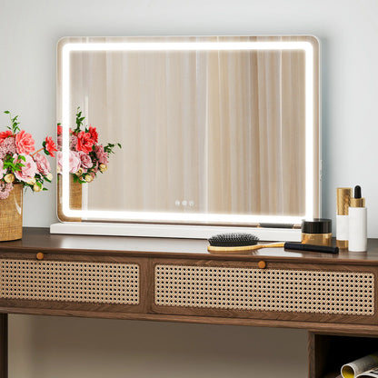 Vanity Mirror with Dimmable LED Lights