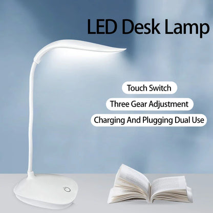 LED Portable Desk Lamp