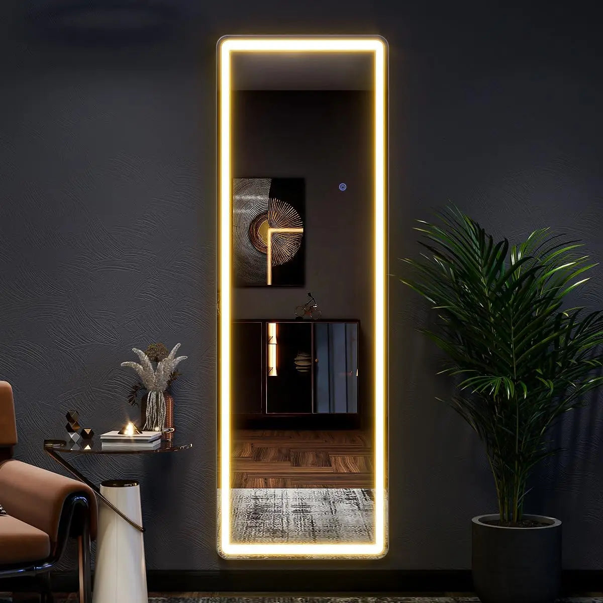 63"x20" Full Length Mirror with Dimmable LED Lights