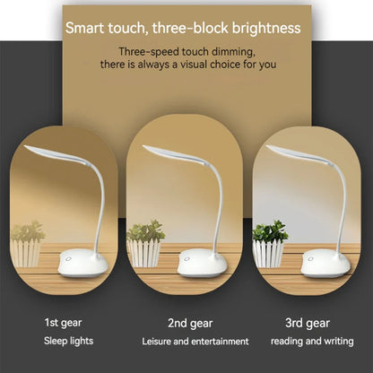 LED Portable Desk Lamp