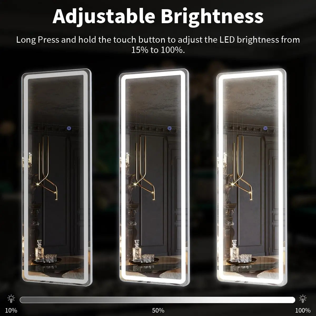 63"x20" Full Length Mirror with Dimmable LED Lights